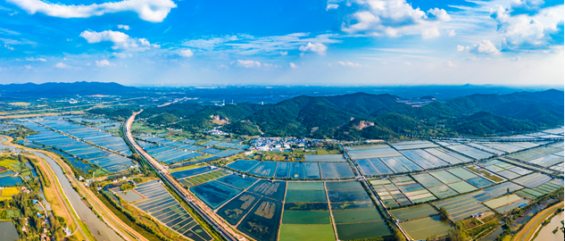 南京市浦口区星甸街道后圩村景色